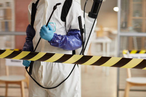 Professional Hoarding Cleanup technician working in Clifton, TX